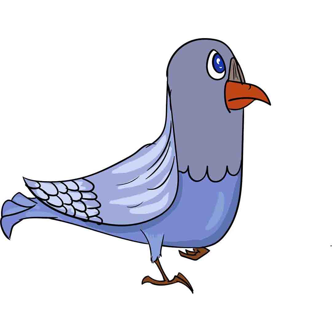Cartoon Pigeon Drawing | Drawing Freak